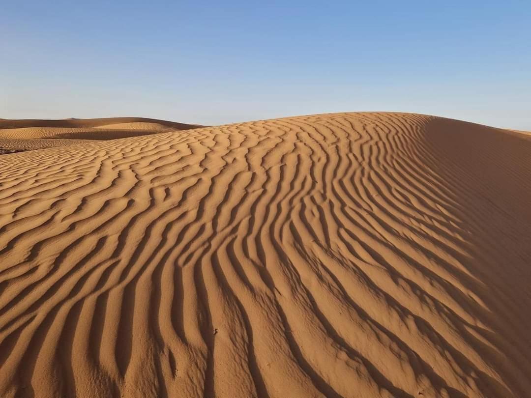 Bivouac Camel Trips Hotel Мерцуга Екстериор снимка