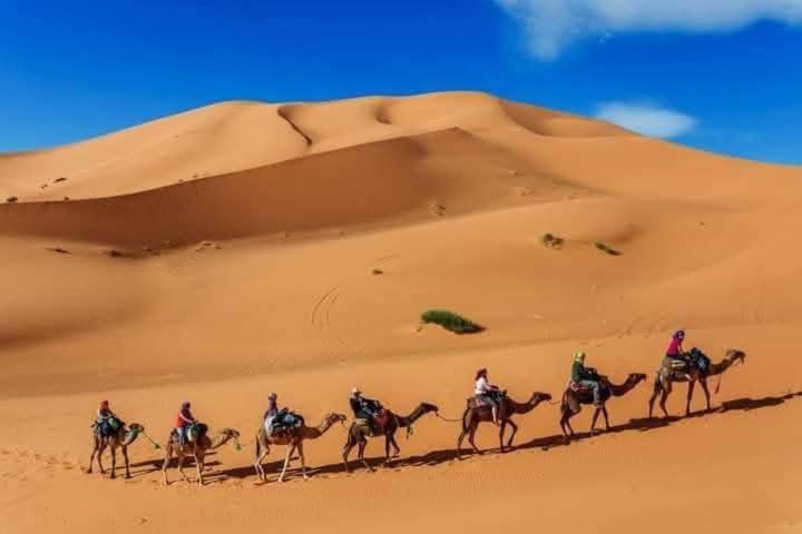 Bivouac Camel Trips Hotel Мерцуга Екстериор снимка