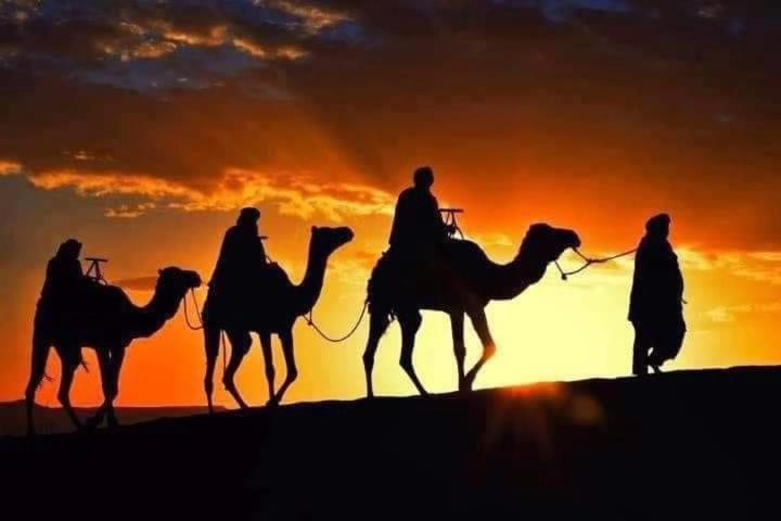 Bivouac Camel Trips Hotel Мерцуга Екстериор снимка