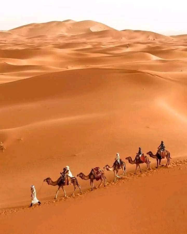 Bivouac Camel Trips Hotel Мерцуга Екстериор снимка