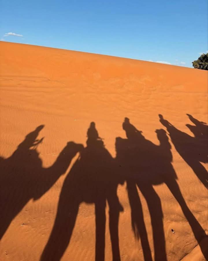 Bivouac Camel Trips Hotel Мерцуга Екстериор снимка