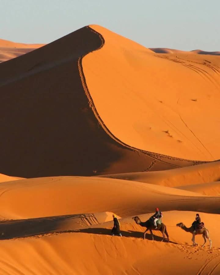 Bivouac Camel Trips Hotel Мерцуга Екстериор снимка